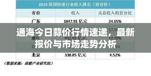 通海今日蒜价行情速递，最新报价与市场走势分析