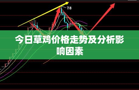 今日草鸡价格走势及分析影响因素