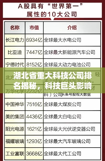 湖北省重大科技公司排名揭秘，科技巨头影响力与实力解析