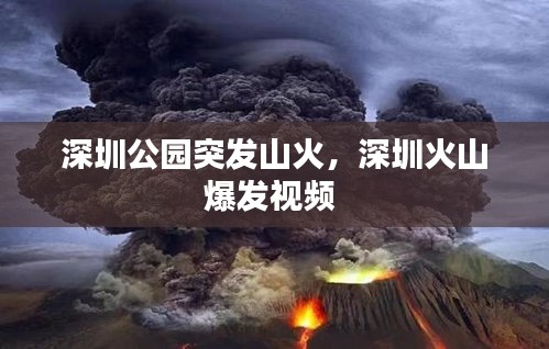 深圳公园突发山火，深圳火山爆发视频 