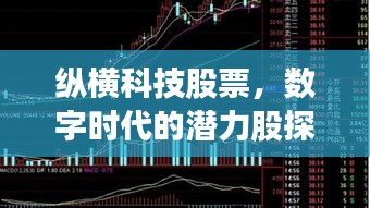 纵横科技股票，数字时代的潜力股探索