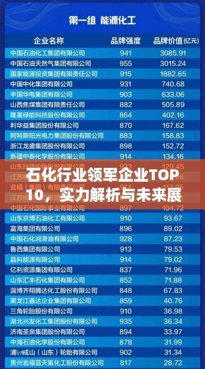 石化行业领军企业TOP10，实力解析与未来展望