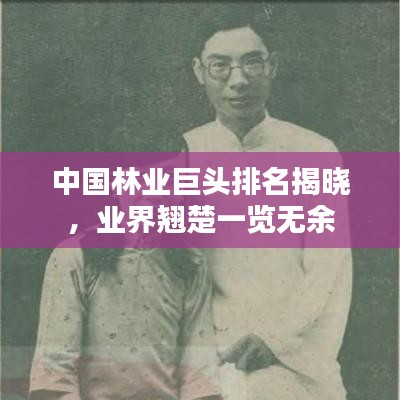 中国林业巨头排名揭晓，业界翘楚一览无余