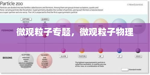 微观粒子专题，微观粒子物理 