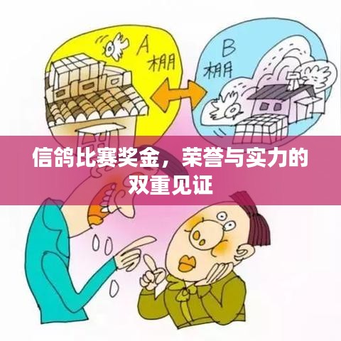 信鸽比赛奖金，荣誉与实力的双重见证