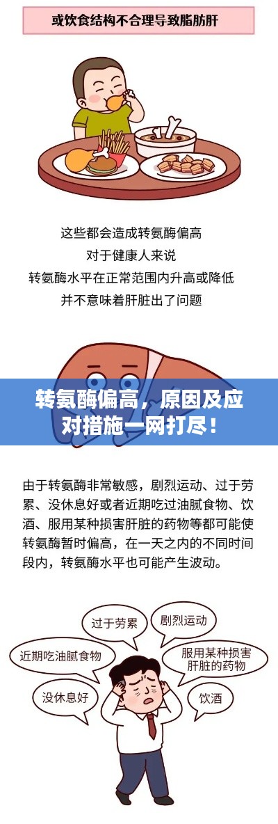 转氨酶偏高，原因及应对措施一网打尽！