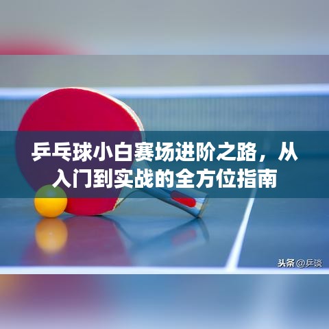 乒乓球小白赛场进阶之路，从入门到实战的全方位指南