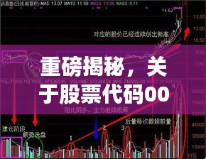 重磅揭秘，关于股票代码002294的全面深度解读与分析