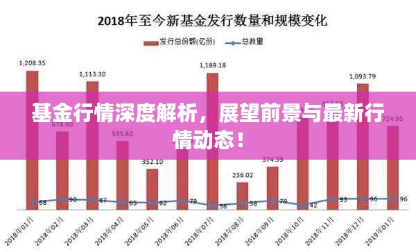 基金行情深度解析，展望前景与最新行情动态！