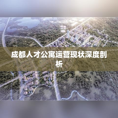 成都人才公寓运营现状深度剖析