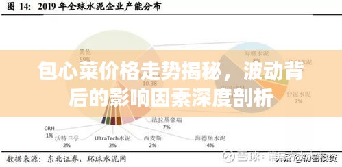 包心菜价格走势揭秘，波动背后的影响因素深度剖析