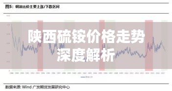 陕西硫铵价格走势深度解析