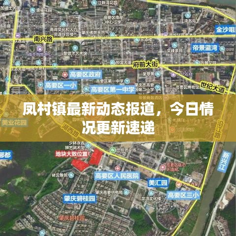 凤村镇最新动态报道，今日情况更新速递