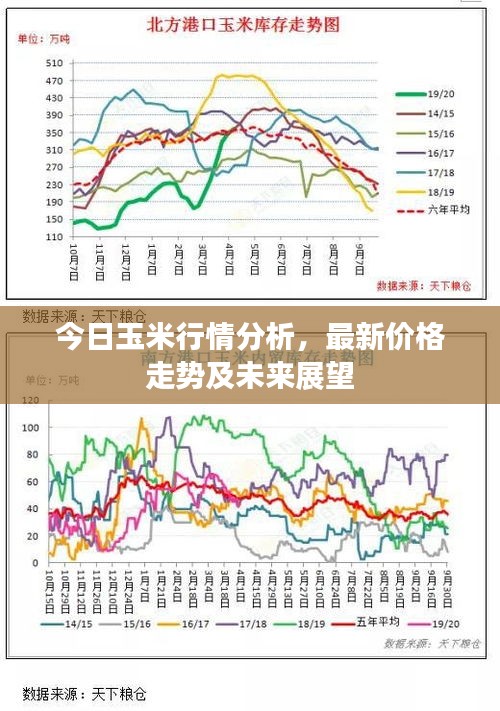 今日玉米行情分析，最新价格走势及未来展望