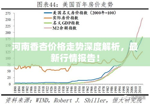 河南香杏价格走势深度解析，最新行情报告！