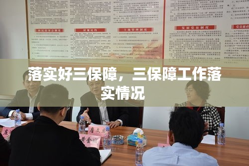 落实好三保障，三保障工作落实情况 