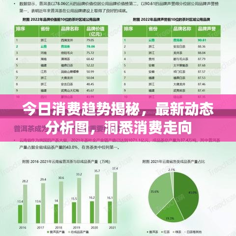 今日消费趋势揭秘，最新动态分析图，洞悉消费走向