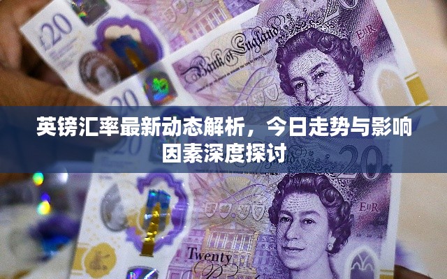 英镑汇率最新动态解析，今日走势与影响因素深度探讨