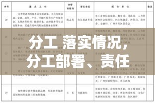 分工 落实情况，分工部署、责任落实 