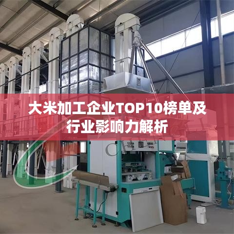 大米加工企业TOP10榜单及行业影响力解析