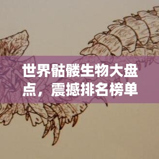 诚聘英才